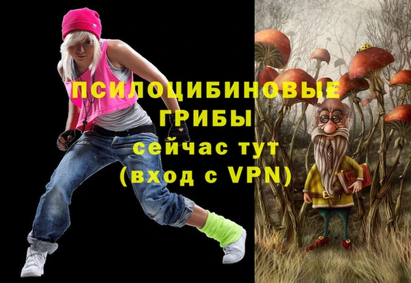 прущий лед Алексин